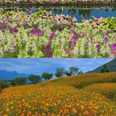 Naxi fire pond 여행 사진