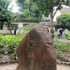 王阿姨梅花糕 User Photo