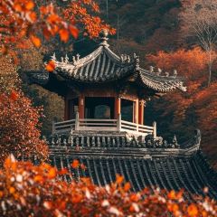 WEIDAOJIA MAMACAI User Photo