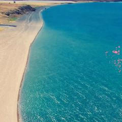 粘豆包铁锅炖(温泉街店) User Photo