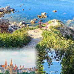 海岛日记(养马岛店) User Photo