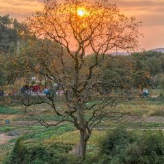 诸暨正宗次坞打面(人民西路店) User Photo