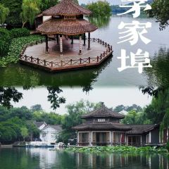 徐忠良傳統定勝糕（塔下街店）張用戶圖片