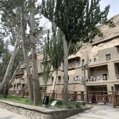 Liuhongxing·xingpishuidian (yueyaquanxiaozhen) User Photo