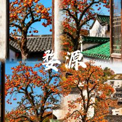 王天顺海苔饼 User Photo