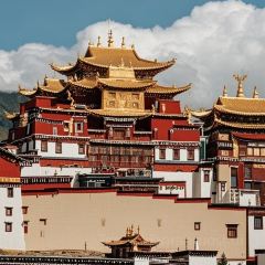 Kamba Nomadic Cafe User Photo