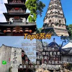 FRESH UNDER THE SEA User Photo