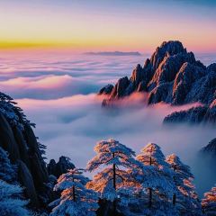 秀嫂挞粿 User Photo