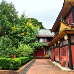 ZHUSANTIANPIYA User Photo