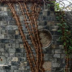 忆岛饭店 User Photo