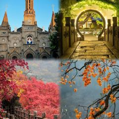 博山菜館張用戶圖片