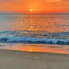 HIBISCUS RESTAURANT User Photo