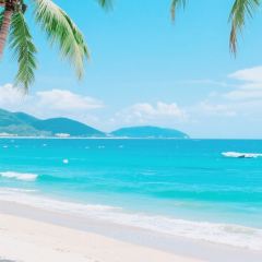 HENG XING FA User Photo