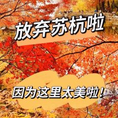 绘璟轩·不醒人室 User Photo