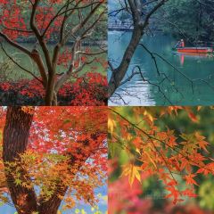 新實惠牛莊張用戶圖片