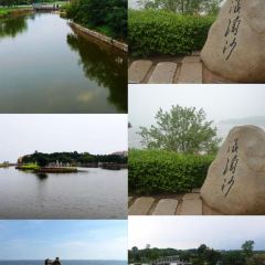 海星辰海鲜大排档(黄金海岸店) User Photo