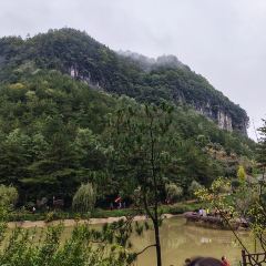 XIANG WEI CUN GU CHANG CAI User Photo