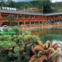 芋见张宜花园(盐边预告店) User Photo