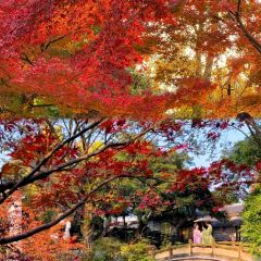 SHUDAXIA HOT POT User Photo