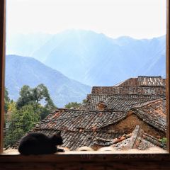 飞茑集樢咖啡 User Photo