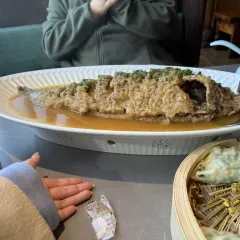 AWU YELLOW RIVER COMMON CARP User Photo