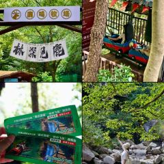 LAO TAI PO FAN DIAN 여행 사진