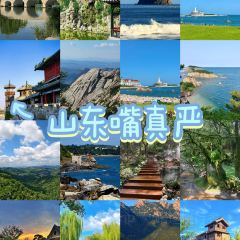 WEIDAOJIA MAMACAI User Photo