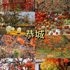 瑶乡饭店 여행 사진