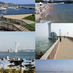 ROYAL OCEAN User Photo