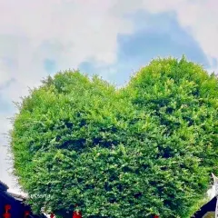 唐沫茶兮（世歐北區3樓店）張用戶圖片