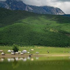 丽江飞鸟民谣酒吧(束河店) User Photo