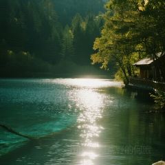 YE PO COFFEE User Photo