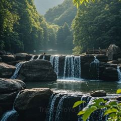 肖家郟縣餄餎面張用戶圖片