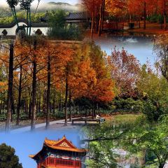 中原农家乐(中原饭店) User Photo