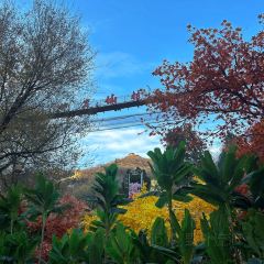 WEIDAOJIA MAMACAI User Photo