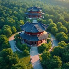 宋記八大碗張用戶圖片