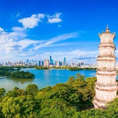 鍾姨糖水（惠城店）張用戶圖片