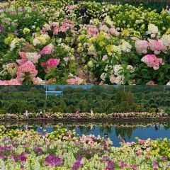 Naxi fire pond 여행 사진