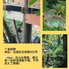 Haiguanhundouhua User Photo