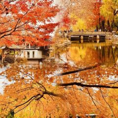 绘璟轩·不醒人室 User Photo