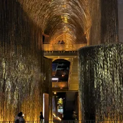 陶姐冷粉張用戶圖片