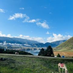 孟获城向野而眠帐篷营地·户外餐厅 User Photo
