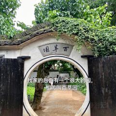 王阿姨梅花糕 User Photo