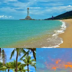 嗲嗲的椰子鸡·海南火锅(亚龙湾博后村店) User Photo