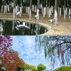 LAO SAN YANG User Photo