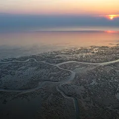 竹林大饭店 User Photo