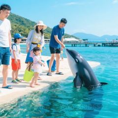 dan jia yu pai User Photo