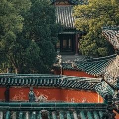 Shun liu'er User Photo