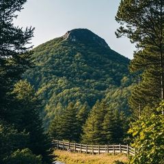 Shunji Traditional Cold Noodles User Photo