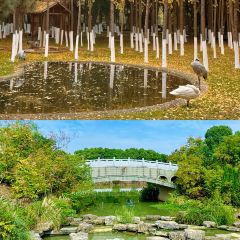 LAO SAN YANG User Photo